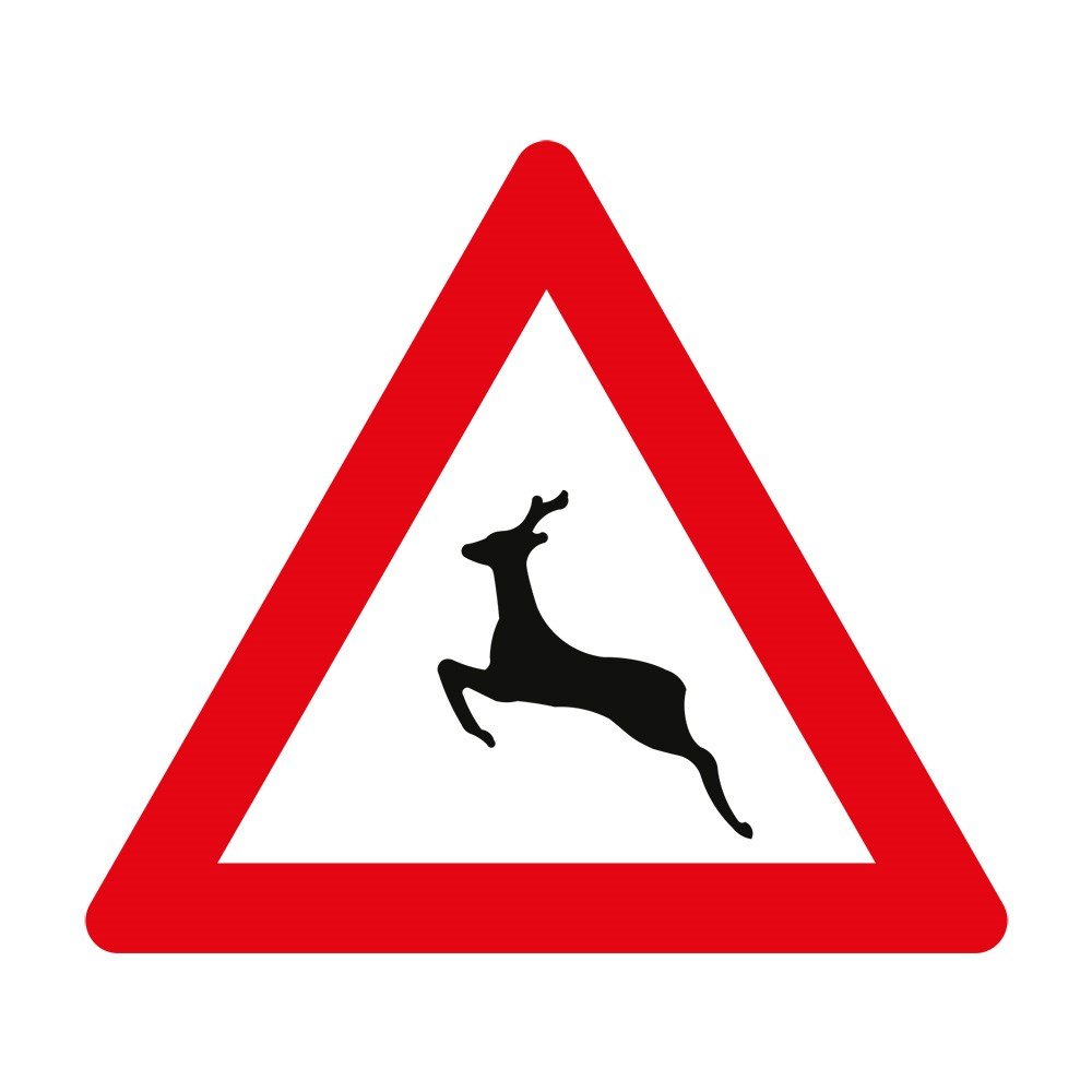 Vahşi Hayvanlar Geçebilir